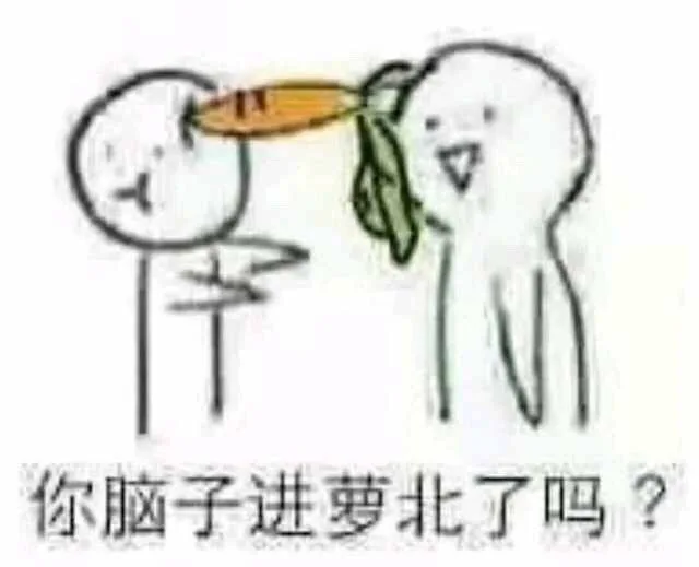 你脑子进萝北了吗（萝卜）