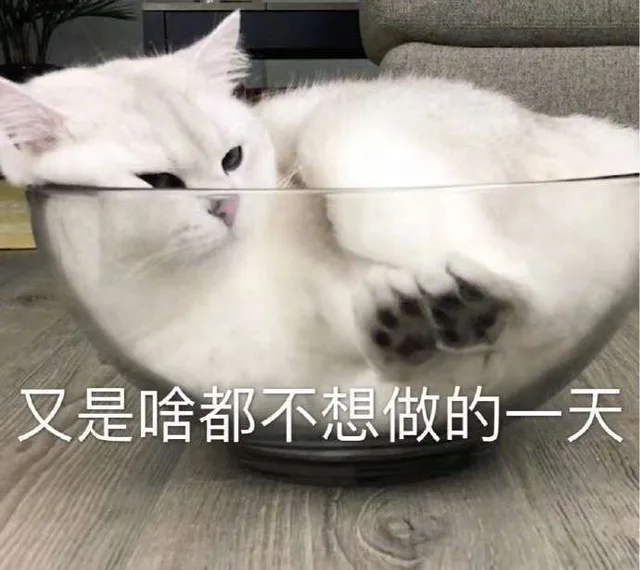 又是啥都不想做的一天（又是啥都不想做的一天）