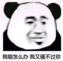 我能怎么办我又骚不过你（我能怎么办我又骚不过你）