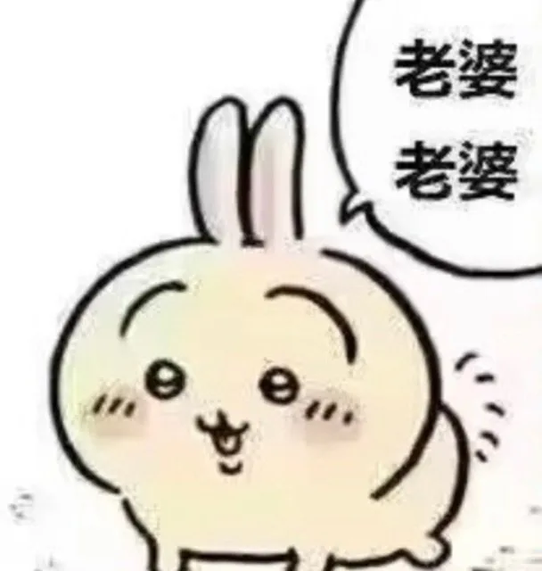 老婆老婆（老婆老婆）