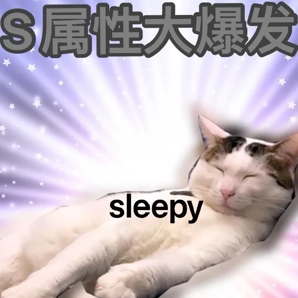 S属性大爆发sleepy