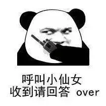 呼叫小仙女收到请回答over（呼叫小仙女收到请回答over）