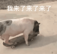 我来了来了来了（我来了来了来了）