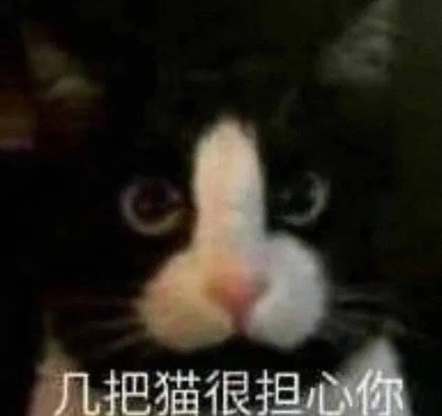 几把猫很担心你
