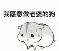 我愿意做老婆的狗