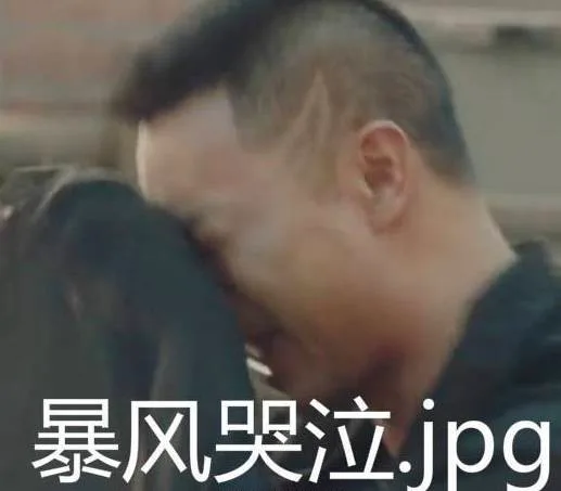 暴风哭泣.jpg（暴风哭泣.jpg）