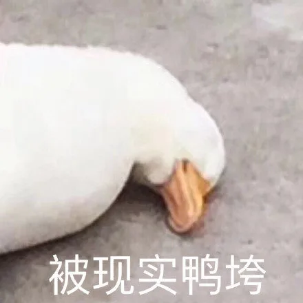 被现实鸭垮（被现实鸭垮）