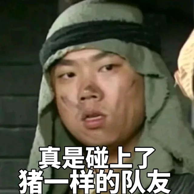 真是碰上了猪一样的队友