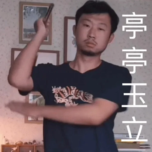 亭亭玉立（藏狐狐主任小亮表情包）（亭亭玉立（藏狐狐主任小亮表情包））
