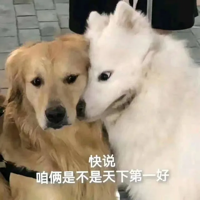快说咱俩是不是天下第一好（快说咱俩是不是天下第一好）