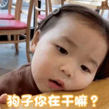 狗子你在干嘛（狗子你在干嘛）