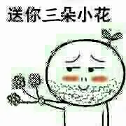 送你三朵小花