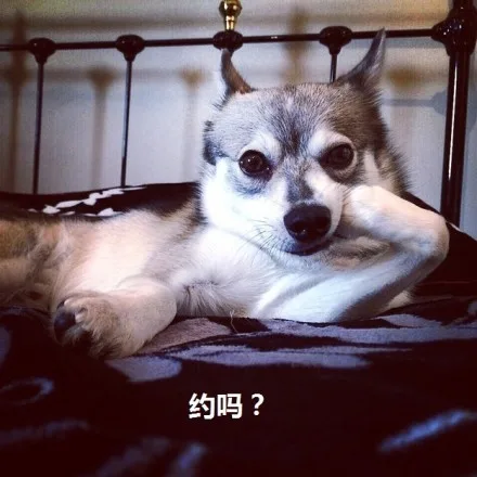 约吗？