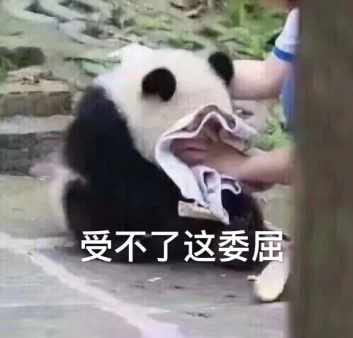 受不了这委屈（受不了这委屈）