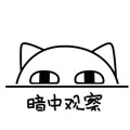 暗中观察（暗中观察）