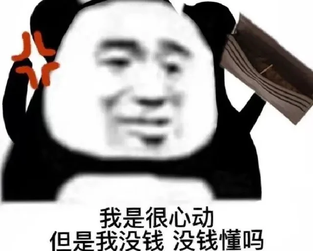 我是很心动但是我没钱没钱懂吗（我是很心动但是我没钱没钱懂吗）
