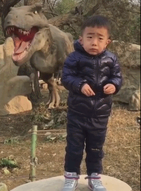 骚年，奥斯卡欠你一个影帝（骚年，奥斯卡欠你一个影帝）