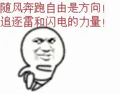 随风奔跑自由是方向！追逐雷和闪电的力量！（随风奔跑自由是方向！追逐雷和闪电的力量！）