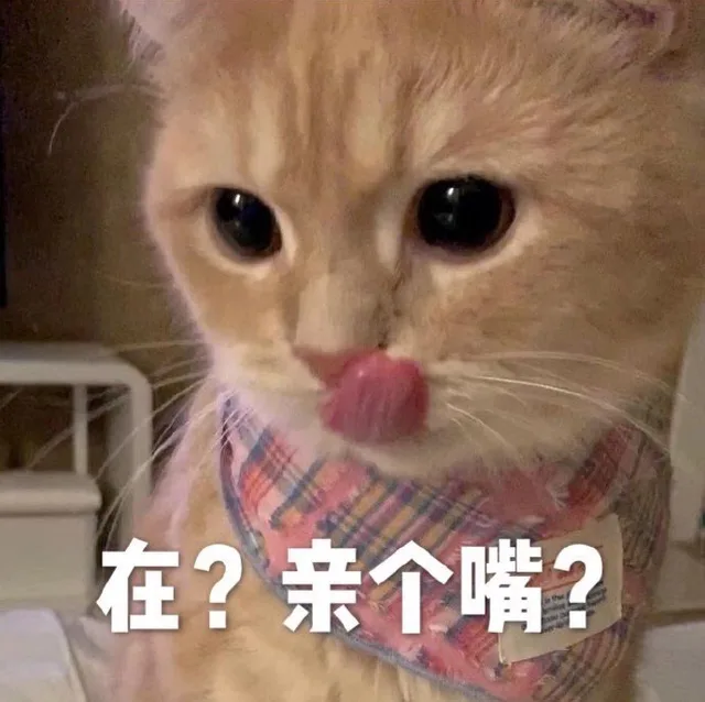 在?亲个嘴?（在?亲个嘴?）
