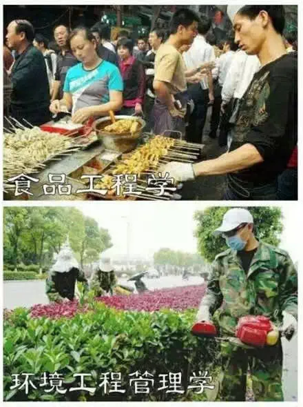 食品工程学 VS 环境工程管理学（食品工程学 VS 环境工程管理学）