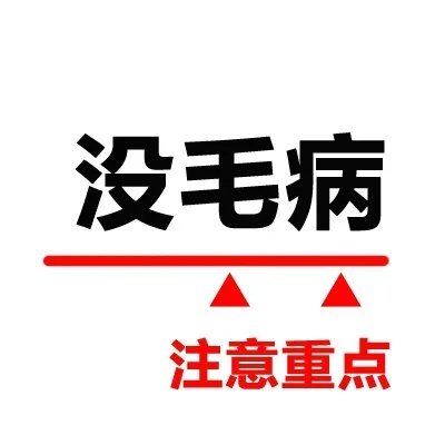 没毛病