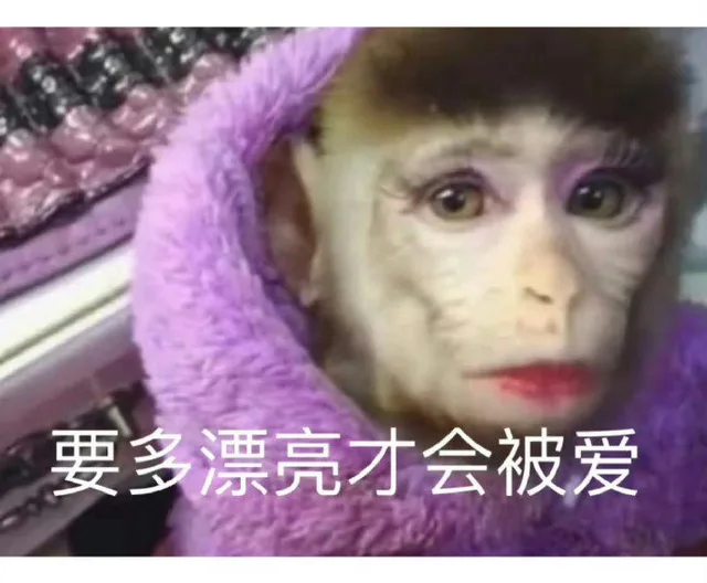 要多漂亮才会被爱（要多漂亮才会被爱）