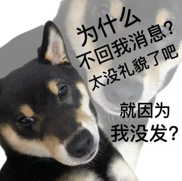 为什么不回我消息？太没礼貌了吧就因为我没发？（为什么不回我消息？太没礼貌了吧就因为我没发？）