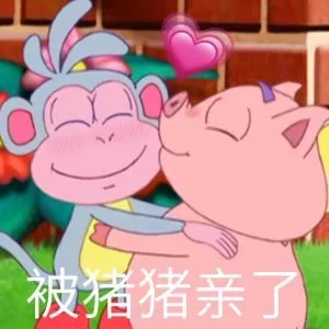 被猪猪亲了