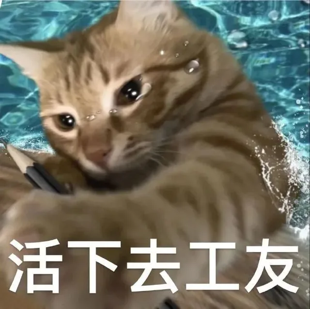 活下去工友（活下去工友）