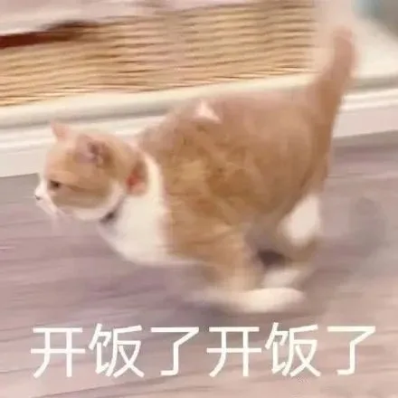 开饭了开饭了（开饭了开饭了）