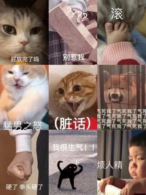滚屁放完了吗别惹我气死我了气死我了气列我了气死我了气死我了猛男之怒(脏话)气死我了气死我了气死我了气死我了气死我了我很生气！烦人精硬了拳头硬了（滚屁放完了吗别惹我气死我了气死我了气列我了气死我了气死我了猛男之怒(脏话)气死我了气死我了气死我了气死我了气死我了我很生气！烦人精硬了拳头硬了）