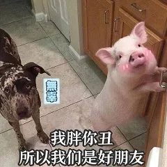 我胖你丑 所以我们是好朋友