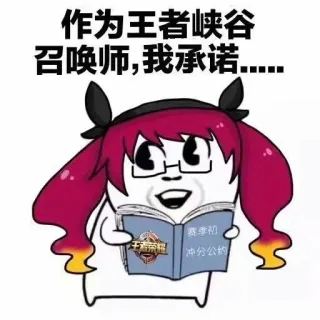 作为王者峡谷召唤师，我承诺....