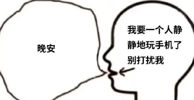我要一个人静晚安静地玩手机了别打扰我（我要一个人静晚安静地玩手机了别打扰我）