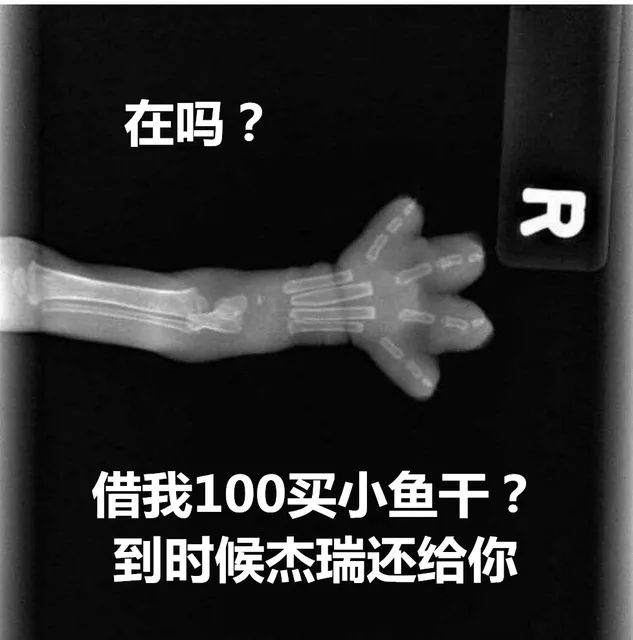 在吗借我100买小鱼干?到时候杰瑞还给你（在吗借我100买小鱼干?到时候杰瑞还给你）