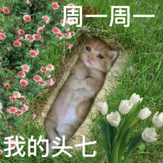 打工人一周表情包