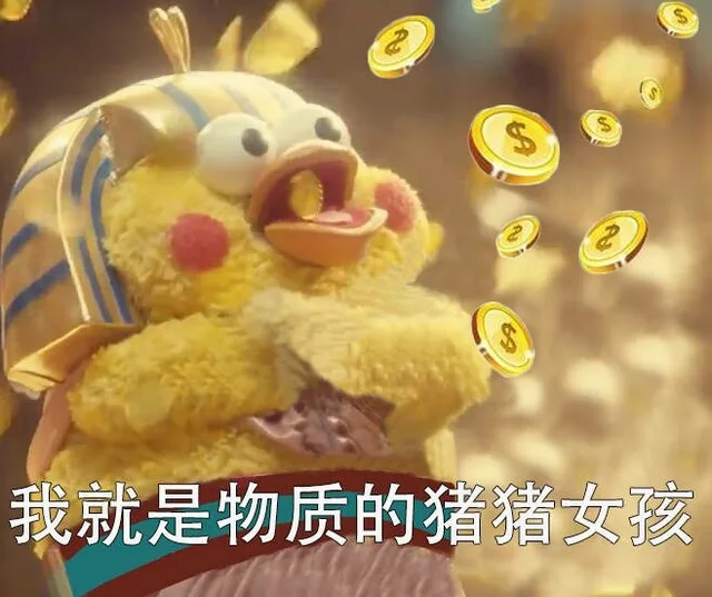 我就是物质的猪猪女孩
