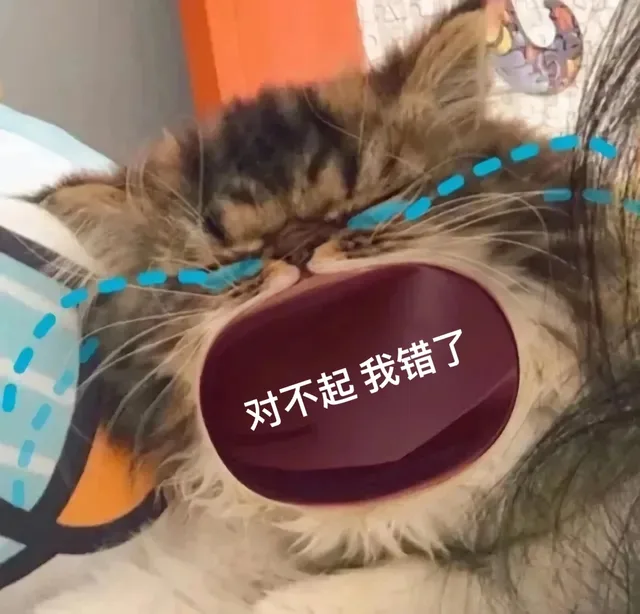 对不起我错了