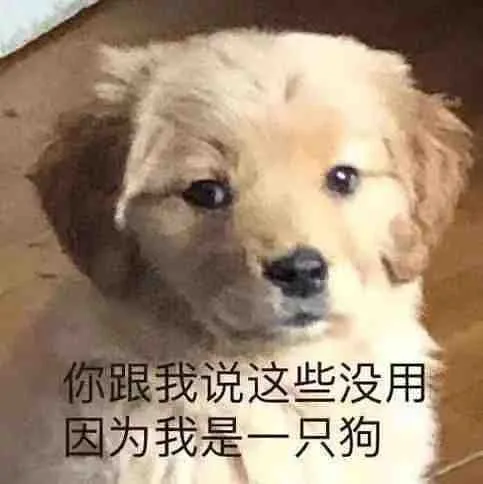 你跟我说这些没用因为我是一只狗（你跟我说这些没用因为我是一只狗）