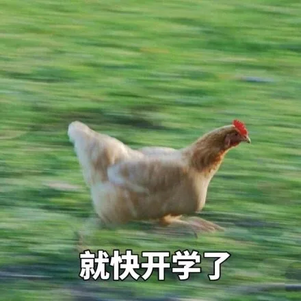 就快开学了（就快开学了）
