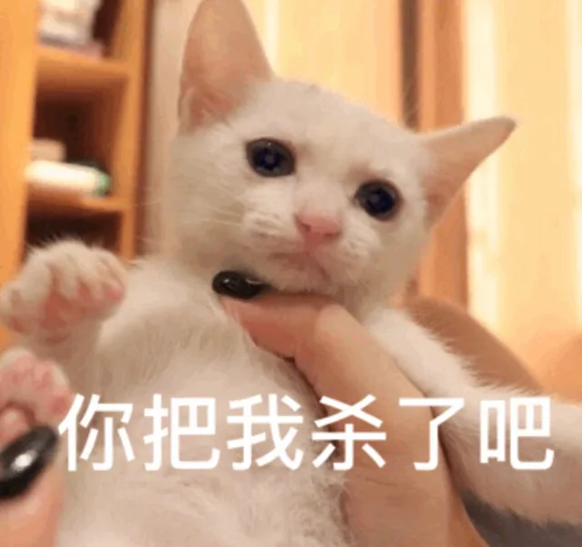 你把我杀了吧（你把我杀了吧）