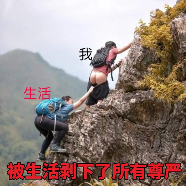 今天份的斗图表情包精选-2018/8/11表情包