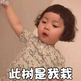 此树是我栽