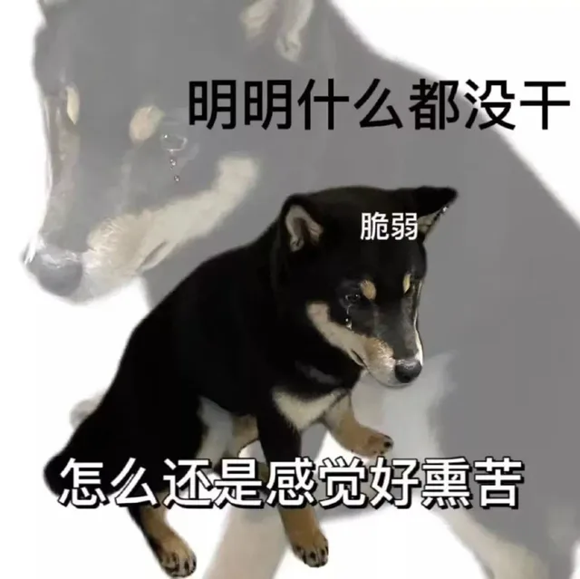 明明什么都没干脆弱怎么还是感觉好熏苦