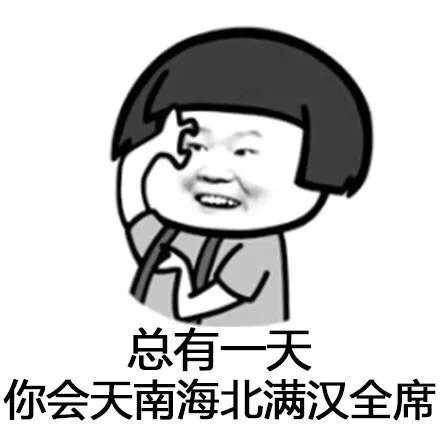 总有一天 你会天南海北满汉全席（总有一天 你会天南海北满汉全席）