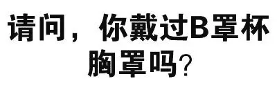 请问，你戴过B罩杯胸罩吗？（请问，你戴过B罩杯胸罩吗？）