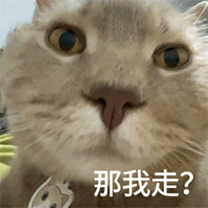 那我走?（那我走?）