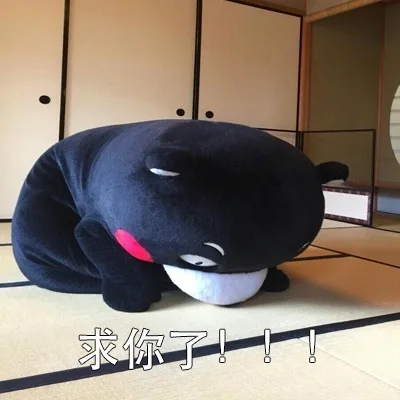 求你了！！熊本熊给你磕头了（求你了！！熊本熊给你磕头了）