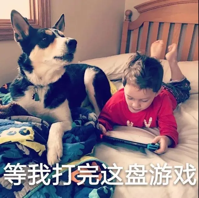 等我打完这盘游戏（等我打完这盘游戏）