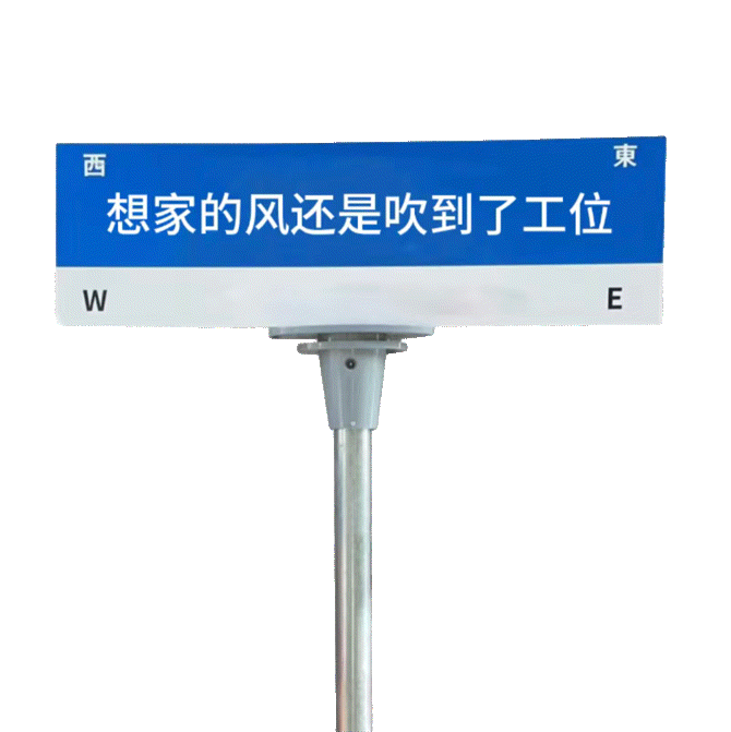 西想家的风还是吹到了工位WE